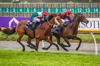 Ticket To Ride (NZ) claims her eighth victory in the G3 Canterbury Breeders' Stakes. 